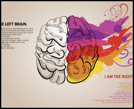 lft-brain-img0400